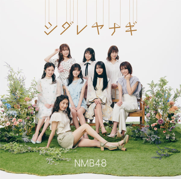 NMB48／シダレヤナギ＜CD+DVD＞（Type-B/通常盤)20210616