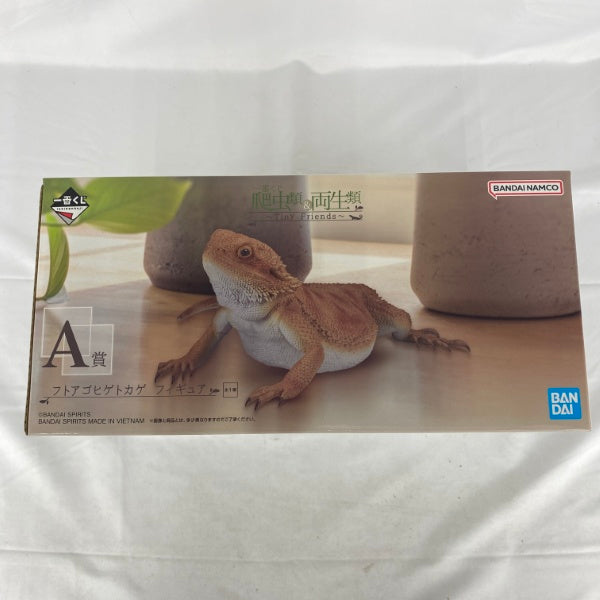 中古】【未開封】フトアゴヒゲトカゲ 「一番くじ 爬虫類＆両生類〜Tiny