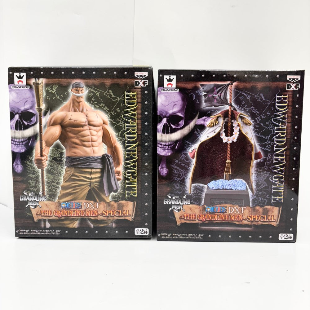 ワンピース DXF GRANDLINE SPECIAL ロジャー 14 グラメン Gol D. Roger King of Artist (Special Ver.) One Piece Figure