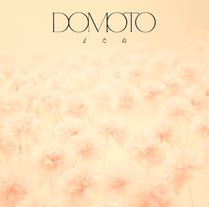 DOMOTO