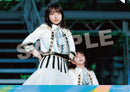 【オリジナル特典】日向坂46／7周年記念MEMORIAL LIVE「7回目のひな誕祭  〜Welcome to HINATAZAKA ROCKESTRA〜」in 横浜スタジアム＜2Blu-ray＞（完全生産限定盤Blu-ray)［Z-17215］20260805