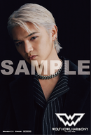 【オリジナル特典】WOLF HOWL HARMONY from EXILE TRIBE／WOLF＜CD+Blu-ray＞（MV盤)［Z-15926］20250312