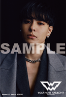 【オリジナル特典】WOLF HOWL HARMONY from EXILE TRIBE／WOLF＜CD+DVD＞（LIVE盤)［Z-15926］20250312