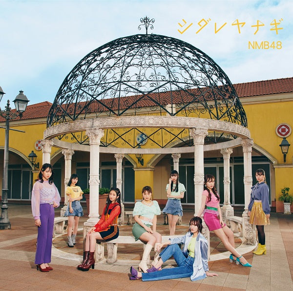 NMB48／シダレヤナギ＜CD+DVD＞（Type-C/通常盤)20210616