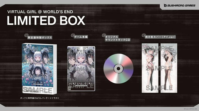 VIRTUAL GIRL @ WORLD’S END 限定版＜Switch＞20250612