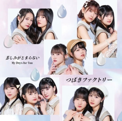 つばきファクトリー