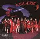 【オリジナル特典】アンジュルム／愛・魔性/ハデにやっちゃいな！/愛すべきべきHuman Life＜CD+Blu-ray＞（初回生産限定盤A)［Z-12812］20220511