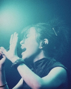 宇多田ヒカル／HIKARU UTADA LIVE CHRONICLES Luv Live (1999)　＜Blu-ray＞20250108