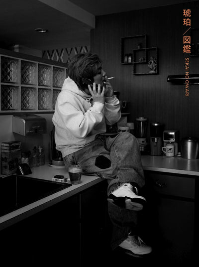 【先着特典】SEKAI NO OWARI／琥珀／図鑑＜CD+DVD＞（初回限定盤A)［Z-16729］20250903