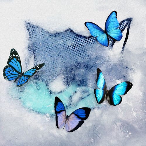 【先着特典】WOLF HOWL HARMONY from EXILE TRIBE／Frozen Butterfly＜CD+DVD＞20230214