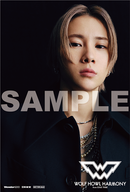 【オリジナル特典】WOLF HOWL HARMONY from EXILE TRIBE／WOLF＜CD+Blu-ray＞（LIVE盤)［Z-15926］20250312