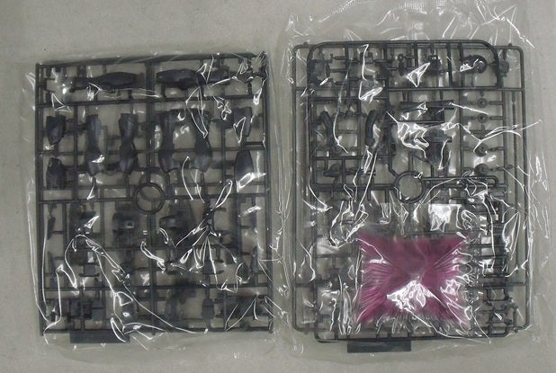 【中古】【未組立品】1/100 MG XM-X2ex クロスボーン・ガンダムX2改 Ver.Ka 「機動戦士クロスボーン・ガンダム」 プレミアムバンダイ限定＜プラモデル＞（代引き不可）6355