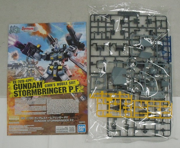 【中古】【未組立】1/100 MG ガンダムストームブリンガー P.F. 「ガンダムビルドダイバーズ GIMM＆BALL’s World Challenge」 プレミアムバンダイ限定 [5066915]＜プラモデル＞（代引き不可）6355