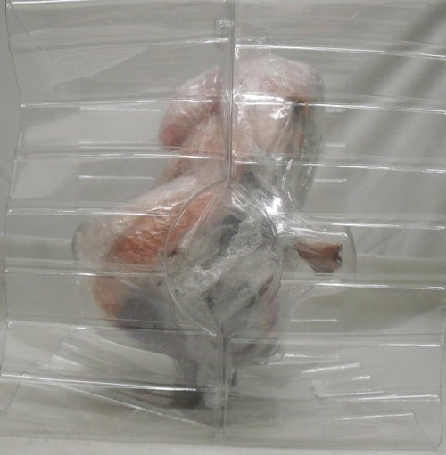 中古】【開封品】マーシャル・D・ティーチ 「ワンピース」 KING OF