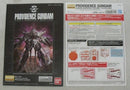 【中古】【未組立】1/100 MG ZGMF-X13A ブロヴィデンスガンダム[CROSS CONTRAST COLORS/CLEAR RED] 「機動戦士ガンダムSEED」＜プラモデル＞（代引き不可）6355