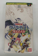 【中古】【開封品】スーパーファミコンソフト　甲竜伝説ヴィルガスト 消えた少女＜レトロゲーム＞（代引き不可）6355