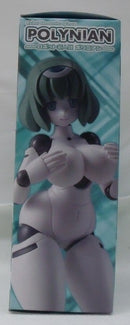 【中古】【開封品】ポリニアン FLL イアンナ 「ロボット新人類ポリニアン」 アクションフィギュア（再販）＜フィギュア＞（代引き不可）6355