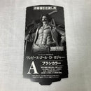 【中古】【未開封】ゴール・D・ロジャー(ブラシカラー) 「バンプレくじ PREMIUM ワンピース-ゴール・D・ロジャー-」＜フィギュア＞（代引き不可）6373