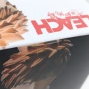 【中古】【未開封】黒崎一護 「BLEACH-ブリーチ-」 SOLID AND SOULS-＜フィギュア＞（代引き不可）6388