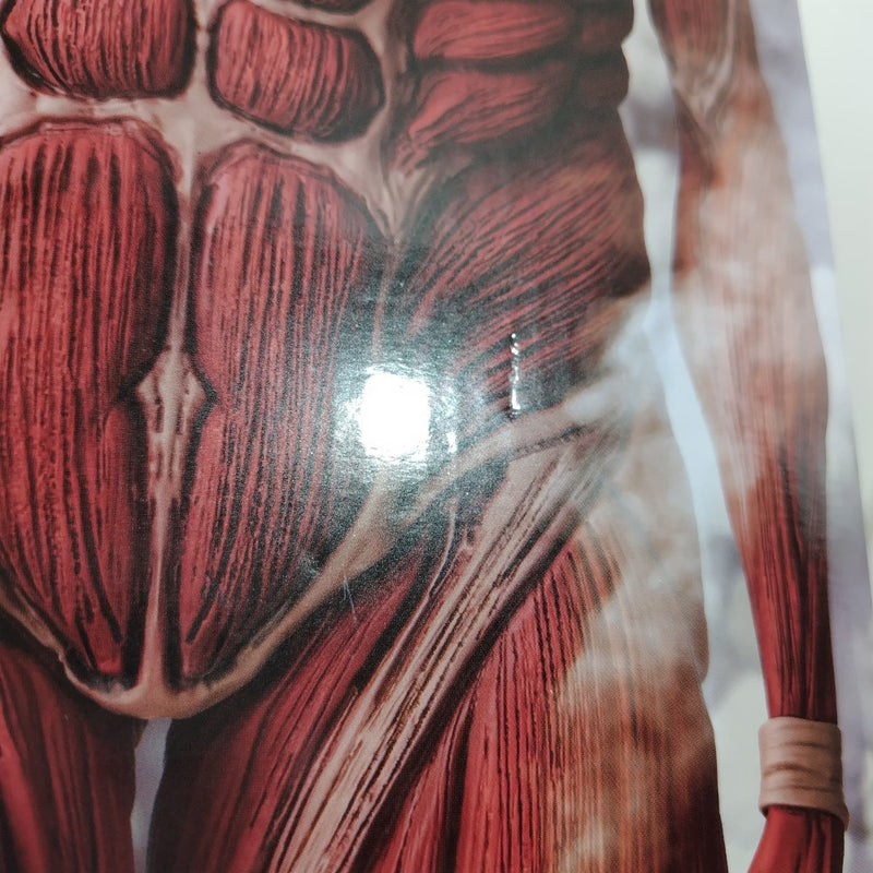 【中古】【未開封】超大型巨人 「一番くじ 進撃の巨人 〜獣の巨人は俺が仕留める〜」 MEGAIMPACT ラストワン賞＜フィギュア＞（代引き不可）6388