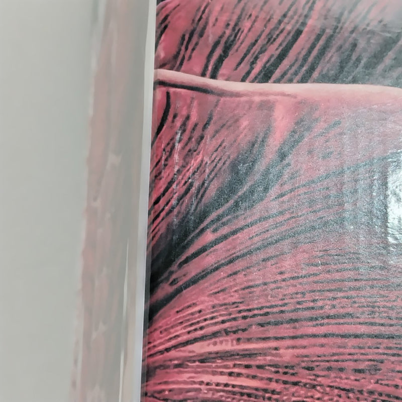 【中古】【未開封】超大型巨人 「一番くじ 進撃の巨人 〜獣の巨人は俺が仕留める〜」 MEGAIMPACT ラストワン賞＜フィギュア＞（代引き不可）6388