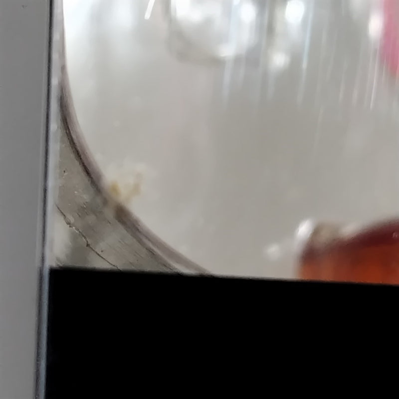 【中古】【未開封】使徒XX A-04 シャムシエルXX 「新世紀エヴァンゲリオン」 続・使徒XXシリーズ PVC＆ABS製塗装済み完成品＜フィギュア＞（代引き不可）6388