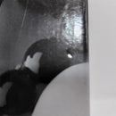 【中古】【未開封】ポートガス・D・エース (白黒トーン彩色)「BWFC 造形王頂上決戦3 SUPER MASTER STARS PIECE 」THE TONES賞＜フィギュア＞（代引き不可）6388