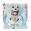 【中古】【未開封】シュヴァルグラン ラストワンver. 「一番くじ ウマ娘 プリティーダービー 13弾」ラストワン賞＜フィギュア＞（代引き不可）6388