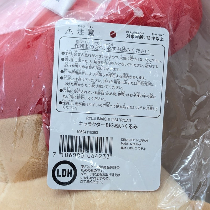 中古】【未開封】今市隆二 キャラクターBIGぬいぐるみ 「RYUJI