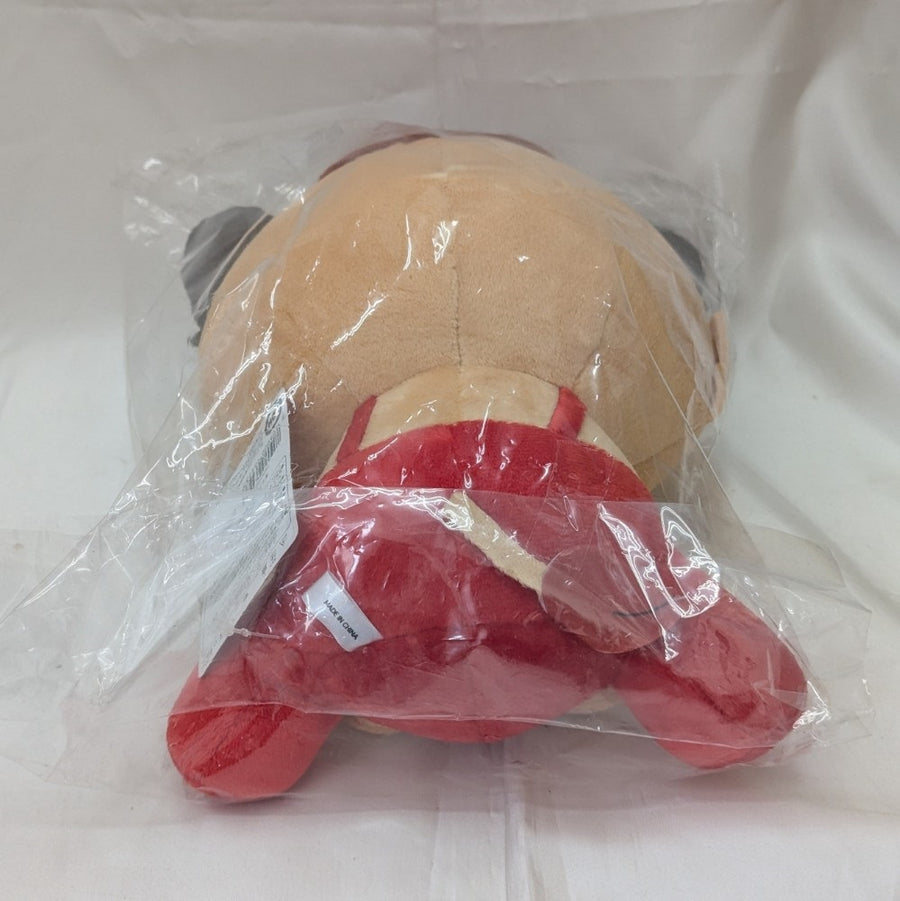 RYUJI IMAICHI 2024 ROAD コライジーBIG ぬいぐるみ 中古】【未開封】今市隆二 キャラクターBIGぬいぐるみ 「RYUJI