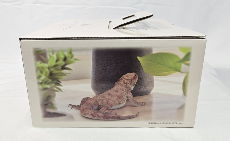【中古】【未開封】フトアゴヒゲトカゲ 「一番くじ 爬虫類＆両生類〜Tiny Friends〜」 A賞＜フィギュア＞（代引き不可）6513
