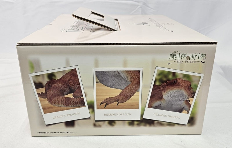 【中古】【未開封】フトアゴヒゲトカゲ 「一番くじ 爬虫類＆両生類〜Tiny Friends〜」 A賞＜フィギュア＞（代引き不可）6513