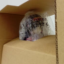 【中古】【開封品】【未使用】アルカ=ゾルディック 「一番くじ HUNTER×HUNTER ZAOLDYECK FAMILY」 MASTERLISE E賞＜フィギュア＞（代引き不可）6514