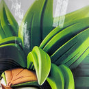 【中古】【未開封】超サイヤ人ブロリーパワー 「一番くじ ドラゴンボール VSオムニバスZ」 KINGCLUSTAR B賞＜フィギュア＞（代引き不可）6541