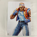 【中古】【開封品】THE KING OF COLLECTORS'24 SPECIAL「テリー・ボガード」(ドット絵彩色カラー)＜フィギュア＞（代引き不可）6541