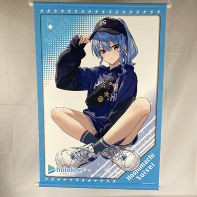 【中古】【開封品】ホロライブ×MOLLY.ONLINEコラボ タペストリー 星街すいせい(miComet)＜コレクターズアイテム＞（代...