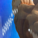 【中古】【未開封】【セット】一番くじ 『キン肉マン』完璧超人始祖編 A賞/B賞/ラストワン賞 3点＜フィギュア＞（代引き不可）6541