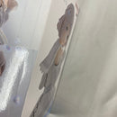 【中古】【未開封】【セット】学園アイドルマスター ESPRESTO-Refined white-葛城リーリヤ/-Charming pose-藤田ことね 2点＜フィギュア＞（代引き不可）6541