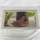 【中古】【未開封】フトアゴヒゲトカゲ 「一番くじ 爬虫類＆両生類〜Tiny Friends〜」 A賞＜フィギュア＞（代引き不可）6541