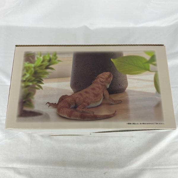 中古】【未開封】フトアゴヒゲトカゲ 「一番くじ 爬虫類＆両生類〜Tiny