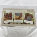 【中古】【未開封】フトアゴヒゲトカゲ 「一番くじ 爬虫類＆両生類〜Tiny Friends〜」 A賞＜フィギュア＞（代引き不可）6541