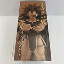 【中古】【未開封】ラディッツ 「一番くじ ドラゴンボール VSオムニバスアメイジング」 MASTERLISE B賞＜フィギュア＞（代引き不可）6541