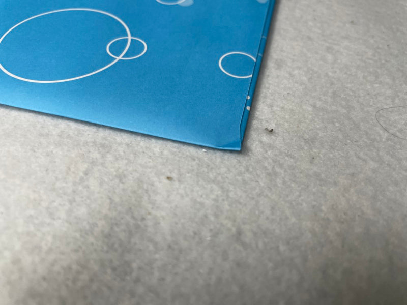 【中古】【未開封】風真いろは 箔押し複製サイン＆メッセージ入りうみぼうず描き下ろしポストカード ＜コレクターズアイテム＞（代引き不可）6545