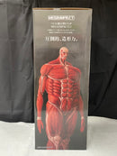 【中古】【未開封】超大型巨人 「一番くじ 進撃の巨人 〜獣の巨人は俺が仕留める〜」 MEGAIMPACT ラストワン賞＜フィギュア＞（代引き不可）6545