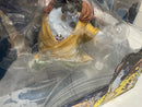 【中古】【未開封】海侠のジンベエ 「ワンピース」 1/8 Portrait.Of.Piratesワンピース“SA-MAXIMUM”＜フィギュア＞（代引き不可）6545