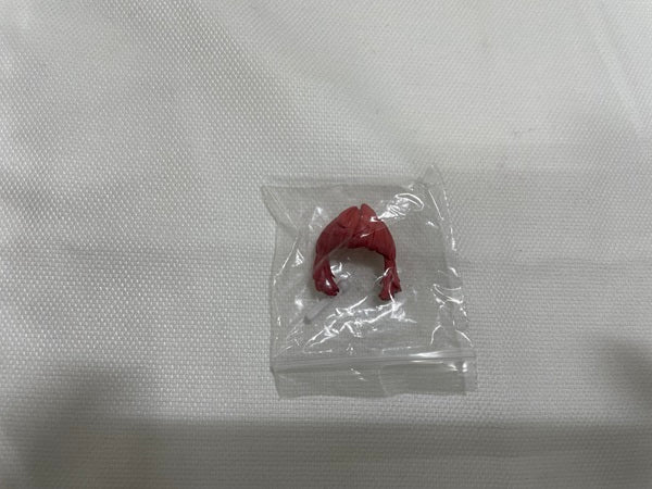 【中古】【開封品】サイエンスキャットレディーチーム 第一弾 SCLT-001 ヒマワリ ノンスケール 完成品アクションフィギュア＜フィギュア＞（代引き不可）6546