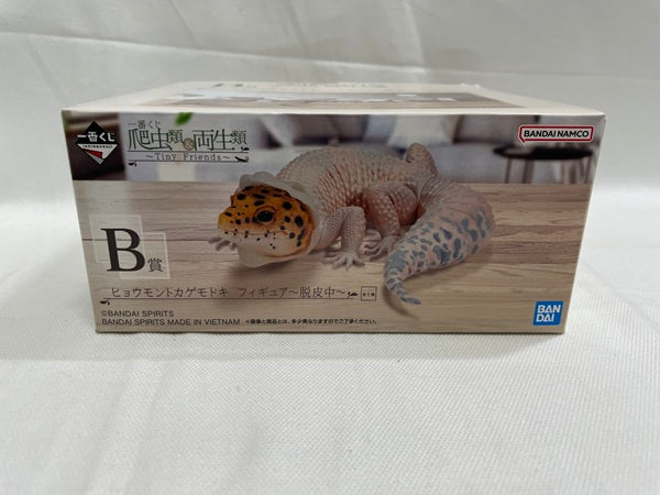 【中古】【開封品】ヒョウモントカゲモドキ〜脱皮中〜 「一番くじ 爬虫類＆両生類〜Tiny Friends〜」 B賞＜フィギュア＞（代引き不可）6546