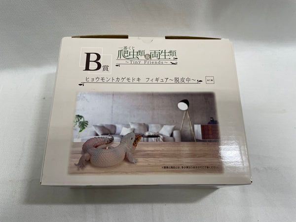 【中古】【開封品】ヒョウモントカゲモドキ〜脱皮中〜 「一番くじ 爬虫類＆両生類〜Tiny Friends〜」 B賞＜フィギュア＞（代引き不可）6546