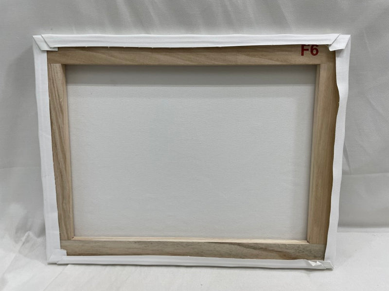 【中古】【現行品】F6キャンバスアート・cage＜コレクターズアイテム＞（代引き不可）6546
