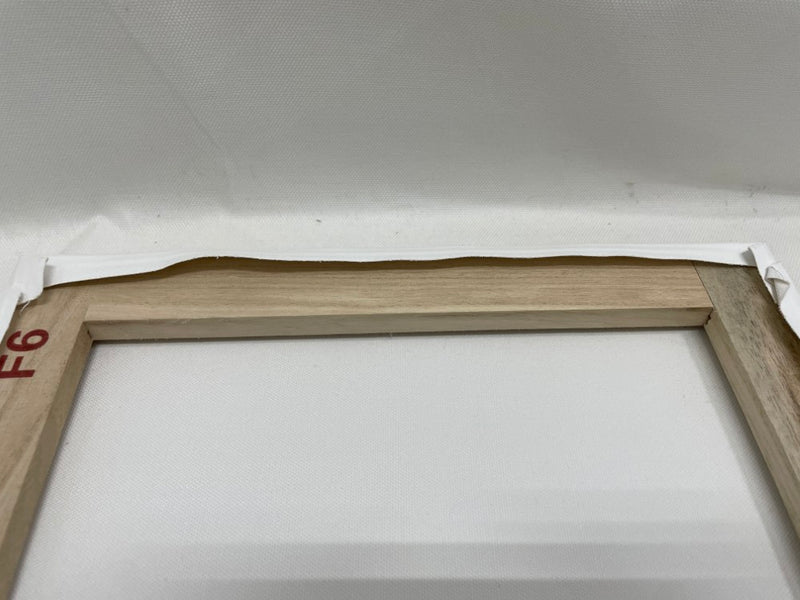 【中古】【現行品】F6キャンバスアート・cage＜コレクターズアイテム＞（代引き不可）6546